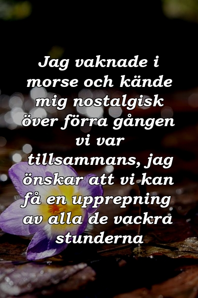 Jag vaknade i morse och kände mig nostalgisk över förra gången vi var tillsammans, jag önskar att vi kan få en upprepning av alla de vackra stunderna