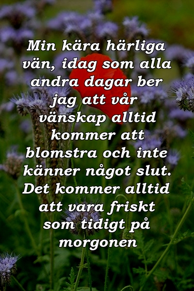 Min kära härliga vän, idag som alla andra dagar ber jag att vår vänskap alltid kommer att blomstra och inte känner något slut. Det kommer alltid att vara friskt som tidigt på morgonen