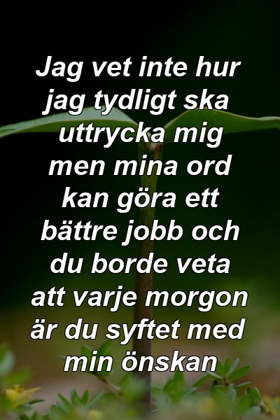 Jag vet inte hur jag tydligt ska uttrycka mig men mina ord kan göra ett bättre jobb och du borde veta att varje morgon är du syftet med min önskan