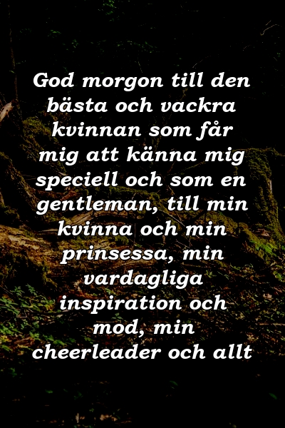 God morgon till den bästa och vackra kvinnan som får mig att känna mig speciell och som en gentleman, till min kvinna och min prinsessa, min vardagliga inspiration och mod, min cheerleader och allt