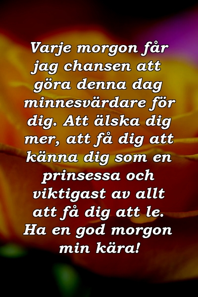 Varje morgon får jag chansen att göra denna dag minnesvärdare för dig. Att älska dig mer, att få dig att känna dig som en prinsessa och viktigast av allt att få dig att le. Ha en god morgon min kära!