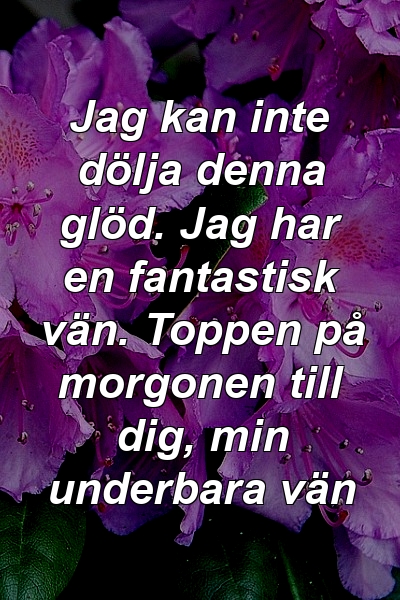 Jag kan inte dölja denna glöd. Jag har en fantastisk vän. Toppen på morgonen till dig, min underbara vän