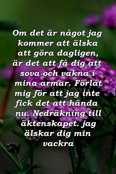 Om det är något jag kommer att älska att göra dagligen, är det att få dig att sova och vakna i mina armar. Förlåt mig för att jag inte fick det att hända nu. Nedräkning till äktenskapet. jag älskar dig min vackra