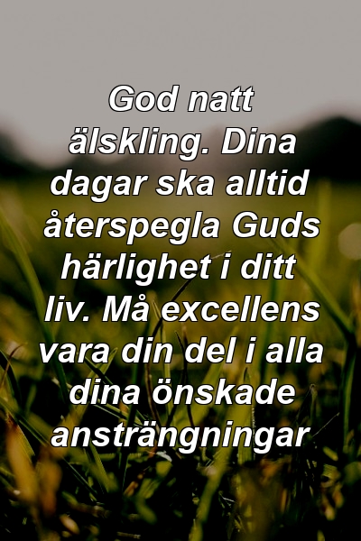 God natt älskling. Dina dagar ska alltid återspegla Guds härlighet i ditt liv. Må excellens vara din del i alla dina önskade ansträngningar