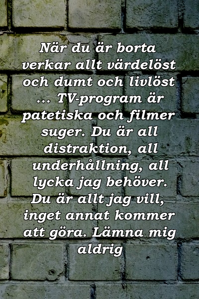 När du är borta verkar allt värdelöst och dumt och livlöst ... TV-program är patetiska och filmer suger. Du är all distraktion, all underhållning, all lycka jag behöver. Du är allt jag vill, inget annat kommer att göra. Lämna mig aldrig