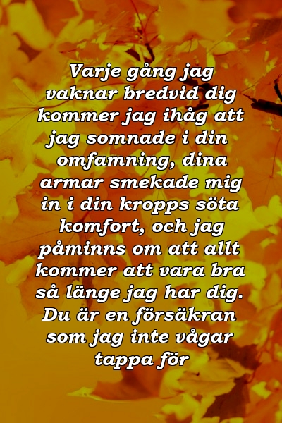 Varje gång jag vaknar bredvid dig kommer jag ihåg att jag somnade i din omfamning, dina armar smekade mig in i din kropps söta komfort, och jag påminns om att allt kommer att vara bra så länge jag har dig. Du är en försäkran som jag inte vågar tappa för