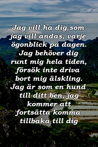 Jag vill ha dig som jag vill andas, varje ögonblick på dagen. Jag behöver dig runt mig hela tiden, försök inte driva bort mig älskling. Jag är som en hund till ditt ben, jag kommer att fortsätta komma tillbaka till dig