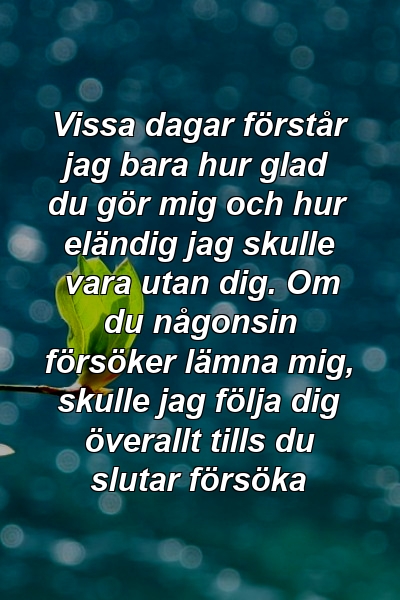 Vissa dagar förstår jag bara hur glad du gör mig och hur eländig jag skulle vara utan dig. Om du någonsin försöker lämna mig, skulle jag följa dig överallt tills du slutar försöka