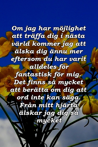 Om jag har möjlighet att träffa dig i nästa värld kommer jag att älska dig ännu mer eftersom du har varit alldeles för fantastisk för mig. Det finns så mycket att berätta om dig att ord inte kan säga. Från mitt hjärta älskar jag dig så mycket