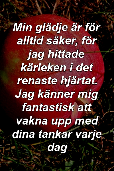 Min glädje är för alltid säker, för jag hittade kärleken i det renaste hjärtat. Jag känner mig fantastisk att vakna upp med dina tankar varje dag