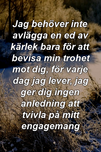 Jag behöver inte avlägga en ed av kärlek bara för att bevisa min trohet mot dig, för varje dag jag lever, jag ger dig ingen anledning att tvivla på mitt engagemang