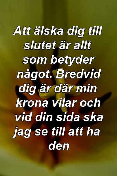 Att älska dig till slutet är allt som betyder något. Bredvid dig är där min krona vilar och vid din sida ska jag se till att ha den