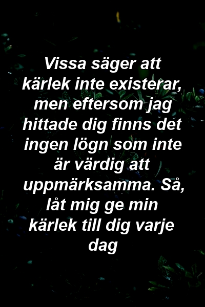 Vissa säger att kärlek inte existerar, men eftersom jag hittade dig finns det ingen lögn som inte är värdig att uppmärksamma. Så, låt mig ge min kärlek till dig varje dag