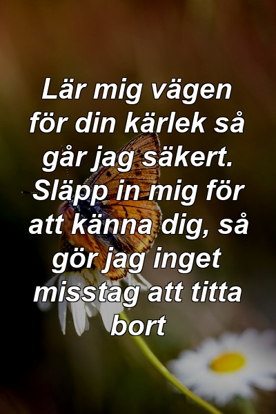 Lär mig vägen för din kärlek så går jag säkert. Släpp in mig för att känna dig, så gör jag inget misstag att titta bort