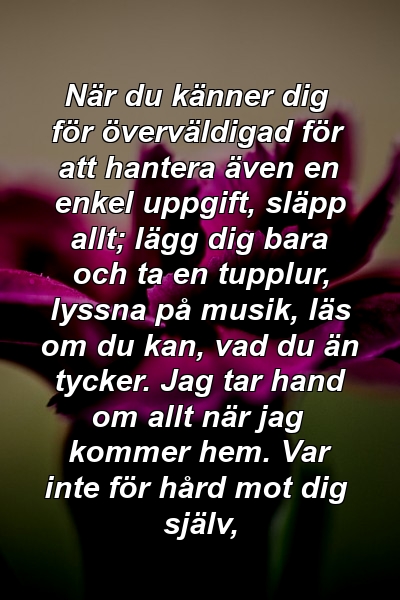 När du känner dig för överväldigad för att hantera även en enkel uppgift, släpp allt; lägg dig bara och ta en tupplur, lyssna på musik, läs om du kan, vad du än tycker. Jag tar hand om allt när jag kommer hem. Var inte för hård mot dig själv,