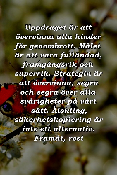 Uppdraget är att övervinna alla hinder för genombrott. Målet är att vara fulländad, framgångsrik och superrik. Strategin är att övervinna, segra och segra över alla svårigheter på vårt sätt. Älskling, säkerhetskopiering är inte ett alternativ. Framåt, resi