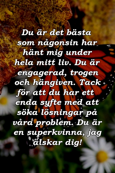 Du är det bästa som någonsin har hänt mig under hela mitt liv. Du är engagerad, trogen och hängiven. Tack för att du har ett enda syfte med att söka lösningar på våra problem. Du är en superkvinna, jag älskar dig!