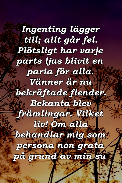 Ingenting lägger till; allt går fel. Plötsligt har varje parts ljus blivit en paria för alla. Vänner är nu bekräftade fiender. Bekanta blev främlingar. Vilket liv! Om alla behandlar mig som persona non grata på grund av min su