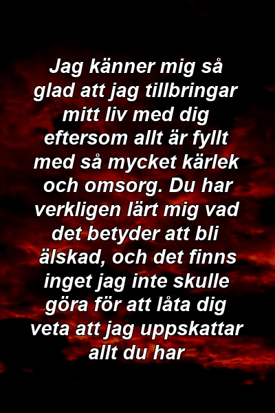 Jag känner mig så glad att jag tillbringar mitt liv med dig eftersom allt är fyllt med så mycket kärlek och omsorg. Du har verkligen lärt mig vad det betyder att bli älskad, och det finns inget jag inte skulle göra för att låta dig veta att jag uppskattar allt du har