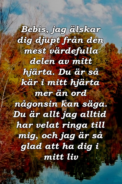 Bebis, jag älskar dig djupt från den mest värdefulla delen av mitt hjärta. Du är så kär i mitt hjärta mer än ord någonsin kan säga. Du är allt jag alltid har velat ringa till mig, och jag är så glad att ha dig i mitt liv