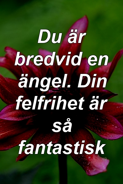 Du är bredvid en ängel. Din felfrihet är så fantastisk