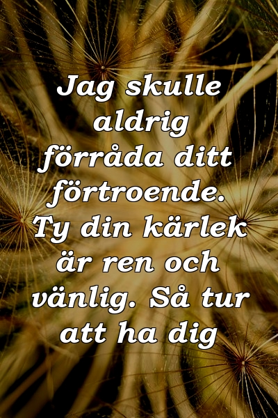 Jag skulle aldrig förråda ditt förtroende. Ty din kärlek är ren och vänlig. Så tur att ha dig