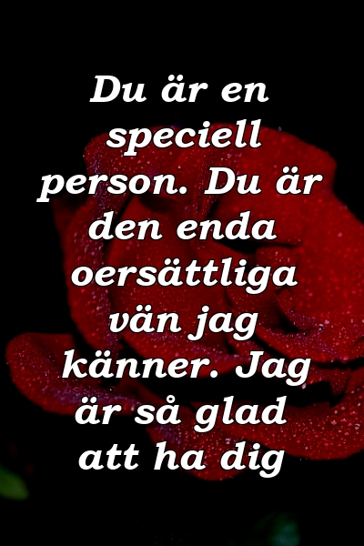 Du är en speciell person. Du är den enda oersättliga vän jag känner. Jag är så glad att ha dig