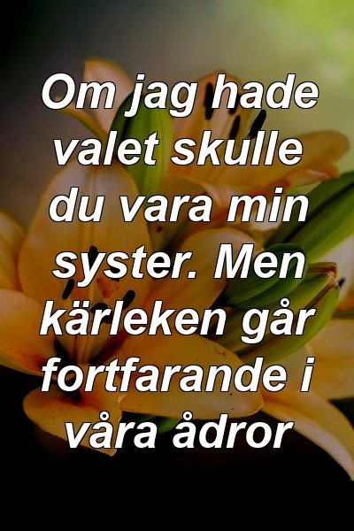 Om jag hade valet skulle du vara min syster. Men kärleken går fortfarande i våra ådror