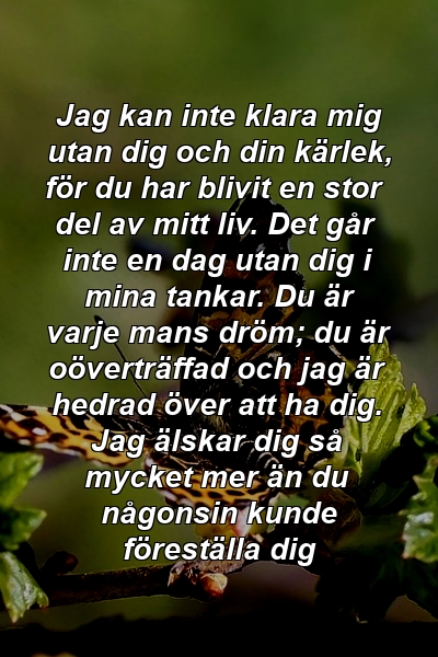 Jag kan inte klara mig utan dig och din kärlek, för du har blivit en stor del av mitt liv. Det går inte en dag utan dig i mina tankar. Du är varje mans dröm; du är oöverträffad och jag är hedrad över att ha dig. Jag älskar dig så mycket mer än du någonsin kunde föreställa dig