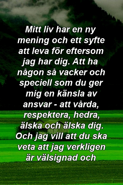 Mitt liv har en ny mening och ett syfte att leva för eftersom jag har dig. Att ha någon så vacker och speciell som du ger mig en känsla av ansvar - att vårda, respektera, hedra, älska och älska dig. Och jag vill att du ska veta att jag verkligen är välsignad och