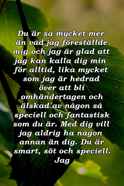 Du är så mycket mer än vad jag föreställde mig och jag är glad att jag kan kalla dig min för alltid, lika mycket som jag är hedrad över att bli omhändertagen och älskad av någon så speciell och fantastisk som du är. Med dig vill jag aldrig ha någon annan än dig. Du är smart, söt och speciell. Jag