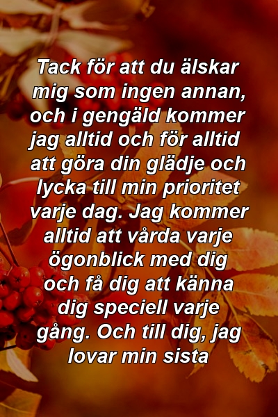 Tack för att du älskar mig som ingen annan, och i gengäld kommer jag alltid och för alltid att göra din glädje och lycka till min prioritet varje dag. Jag kommer alltid att vårda varje ögonblick med dig och få dig att känna dig speciell varje gång. Och till dig, jag lovar min sista