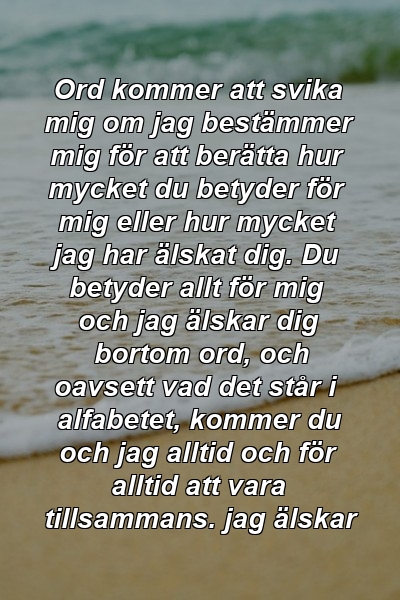 Ord kommer att svika mig om jag bestämmer mig för att berätta hur mycket du betyder för mig eller hur mycket jag har älskat dig. Du betyder allt för mig och jag älskar dig bortom ord, och oavsett vad det står i alfabetet, kommer du och jag alltid och för alltid att vara tillsammans. jag älskar