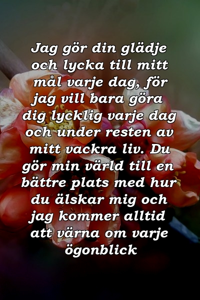 Jag gör din glädje och lycka till mitt mål varje dag, för jag vill bara göra dig lycklig varje dag och under resten av mitt vackra liv. Du gör min värld till en bättre plats med hur du älskar mig och jag kommer alltid att värna om varje ögonblick