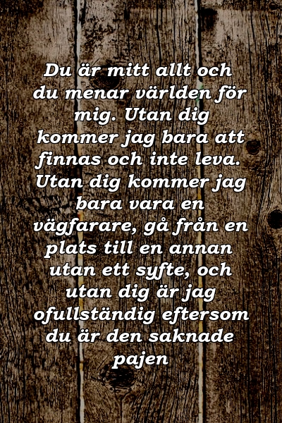 Du är mitt allt och du menar världen för mig. Utan dig kommer jag bara att finnas och inte leva. Utan dig kommer jag bara vara en vägfarare, gå från en plats till en annan utan ett syfte, och utan dig är jag ofullständig eftersom du är den saknade pajen