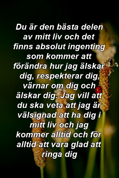 Du är den bästa delen av mitt liv och det finns absolut ingenting som kommer att förändra hur jag älskar dig, respekterar dig, värnar om dig och älskar dig. Jag vill att du ska veta att jag är välsignad att ha dig i mitt liv och jag kommer alltid och för alltid att vara glad att ringa dig