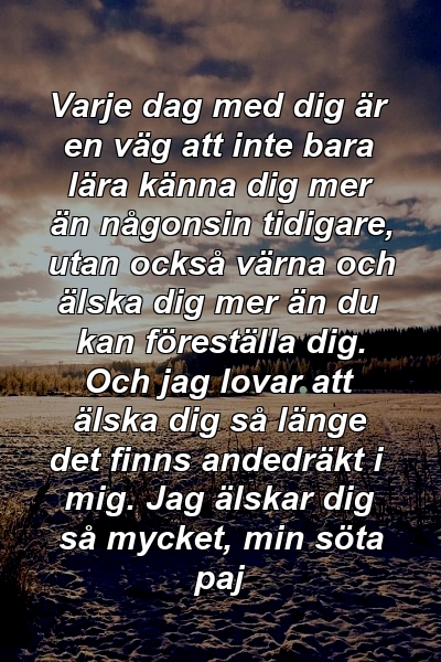 Varje dag med dig är en väg att inte bara lära känna dig mer än någonsin tidigare, utan också värna och älska dig mer än du kan föreställa dig. Och jag lovar att älska dig så länge det finns andedräkt i mig. Jag älskar dig så mycket, min söta paj