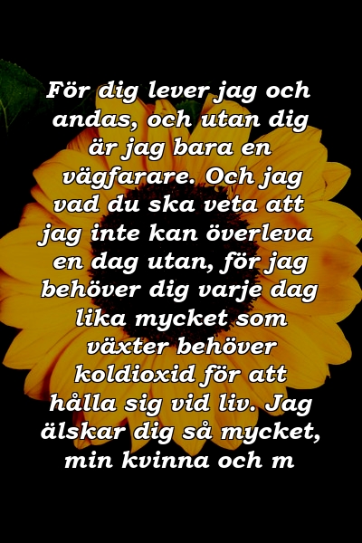 För dig lever jag och andas, och utan dig är jag bara en vägfarare. Och jag vad du ska veta att jag inte kan överleva en dag utan, för jag behöver dig varje dag lika mycket som växter behöver koldioxid för att hålla sig vid liv. Jag älskar dig så mycket, min kvinna och m