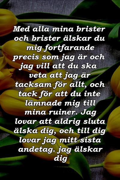 Med alla mina brister och brister älskar du mig fortfarande precis som jag är och jag vill att du ska veta att jag är tacksam för allt, och tack för att du inte lämnade mig till mina ruiner. Jag lovar att aldrig sluta älska dig, och till dig lovar jag mitt sista andetag. jag älskar dig