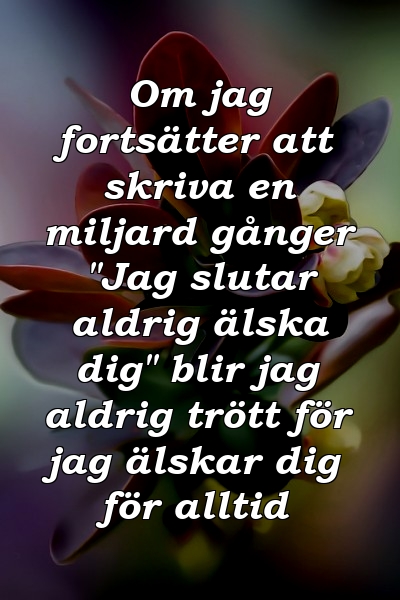 Om jag fortsätter att skriva en miljard gånger "Jag slutar aldrig älska dig" blir jag aldrig trött för jag älskar dig för alltid