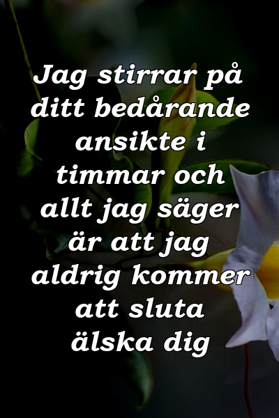 Jag stirrar på ditt bedårande ansikte i timmar och allt jag säger är att jag aldrig kommer att sluta älska dig