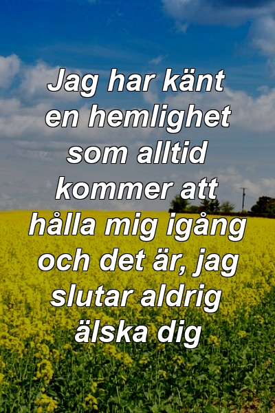 Jag har känt en hemlighet som alltid kommer att hålla mig igång och det är, jag slutar aldrig älska dig