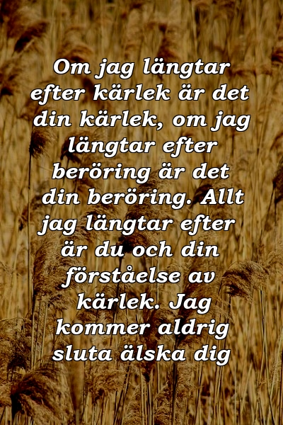 Om jag längtar efter kärlek är det din kärlek, om jag längtar efter beröring är det din beröring. Allt jag längtar efter är du och din förståelse av kärlek. Jag kommer aldrig sluta älska dig