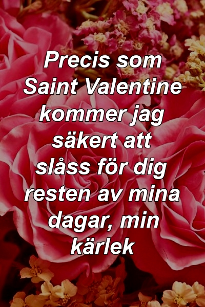 Precis som Saint Valentine kommer jag säkert att slåss för dig resten av mina dagar, min kärlek