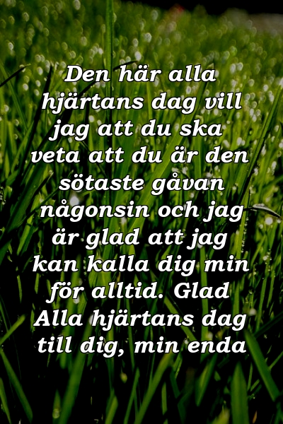 Den här alla hjärtans dag vill jag att du ska veta att du är den sötaste gåvan någonsin och jag är glad att jag kan kalla dig min för alltid. Glad Alla hjärtans dag till dig, min enda