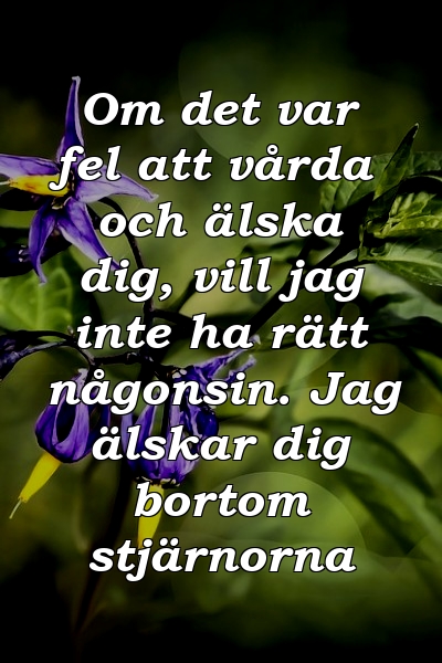 Om det var fel att vårda och älska dig, vill jag inte ha rätt någonsin. Jag älskar dig bortom stjärnorna