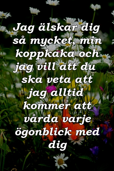 Jag älskar dig så mycket, min koppkaka och jag vill att du ska veta att jag alltid kommer att vårda varje ögonblick med dig