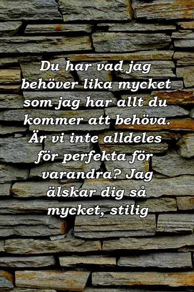 Du har vad jag behöver lika mycket som jag har allt du kommer att behöva. Är vi inte alldeles för perfekta för varandra? Jag älskar dig så mycket, stilig