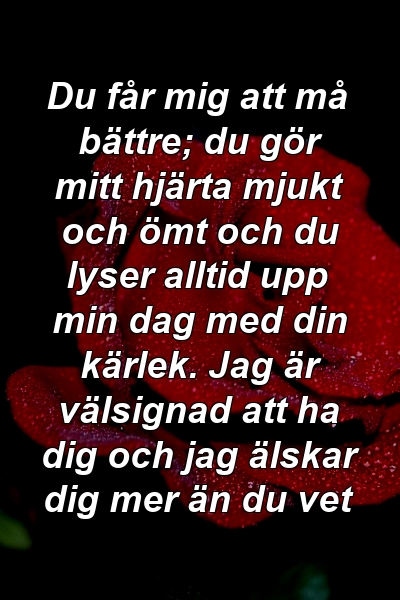 Du får mig att må bättre; du gör mitt hjärta mjukt och ömt och du lyser alltid upp min dag med din kärlek. Jag är välsignad att ha dig och jag älskar dig mer än du vet