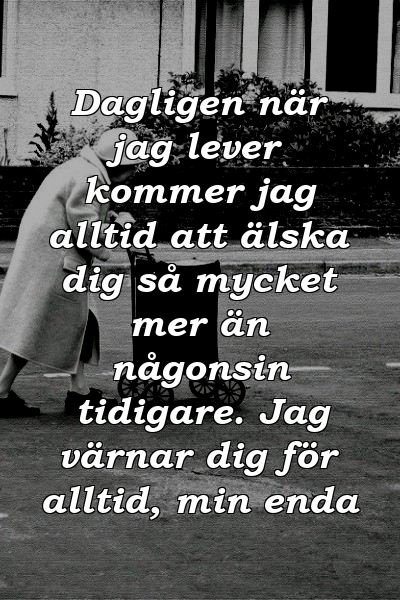 Dagligen när jag lever kommer jag alltid att älska dig så mycket mer än någonsin tidigare. Jag värnar dig för alltid, min enda